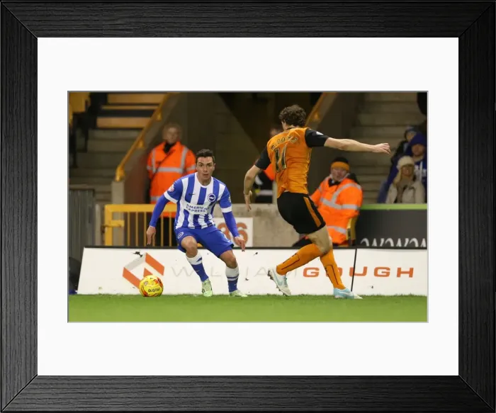 Framed Print : Colunga's Determined Showdown: Wolverhampton Wanderers vs. Brighton and Hove Albion (20DEC14) Framed Print : Colunga's Determined Showdown: Wolverhampton Wanderers vs. Brighton and Hove Albion (20DEC14)