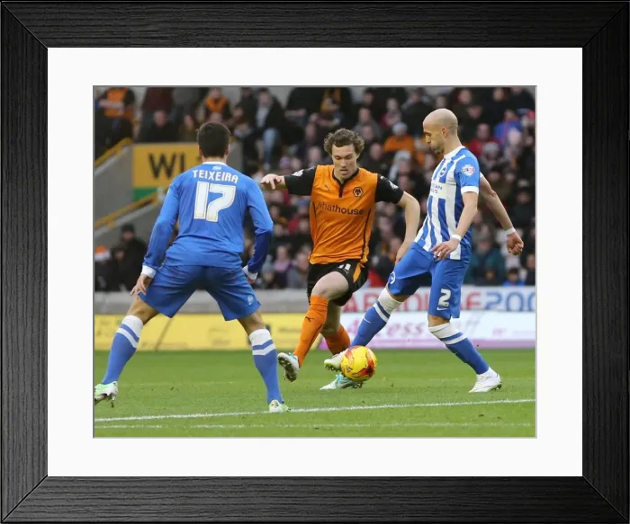 Framed Print : Bruno vs. Wolves: A Championship Showdown (Brighton & Hove Albion at Molineux, 2014)