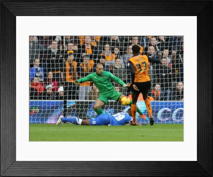 Framed Print : December Showdown: Darren Bent Scores for Brighton Against Wolverhampton (2014) Framed Print : December Showdown: Darren Bent Scores for Brighton Against Wolverhampton (2014)