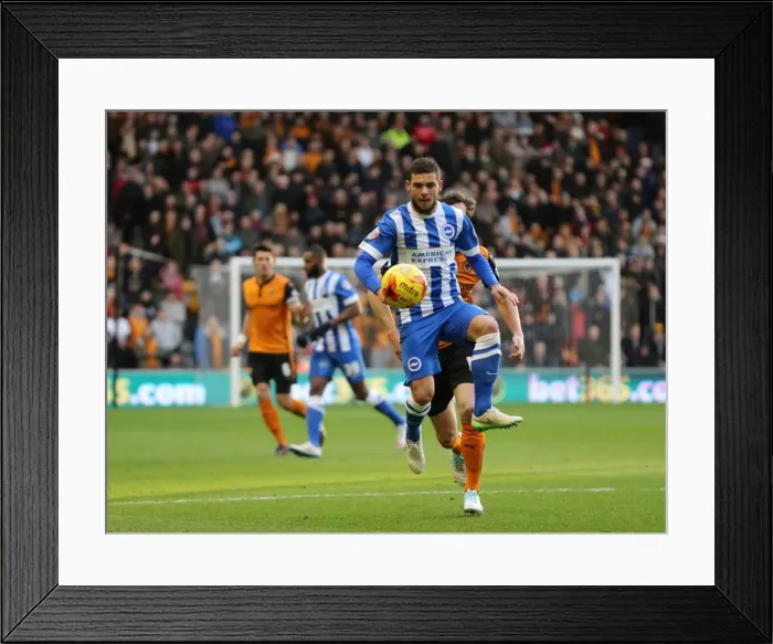 Framed Print : Jake Forster-Caskey of Brighton and Hove Albion in Action Against Wolverhampton Wanderers, Sky Bet Championship, Molineux, December 2014 Framed Print : Jake Forster-Caskey of Brighton and Hove Albion in Action Against Wolverhampton Wanderers, Sky Bet Championship, Molineux, December 2014