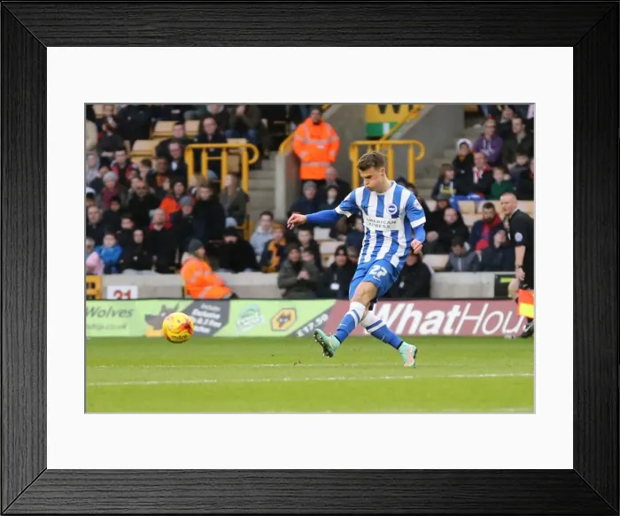 Framed Print : Solomon March in Action: Wolverhampton Wanderers vs. Brighton and Hove Albion (December 2014) Framed Print : Solomon March in Action: Wolverhampton Wanderers vs. Brighton and Hove Albion (December 2014)