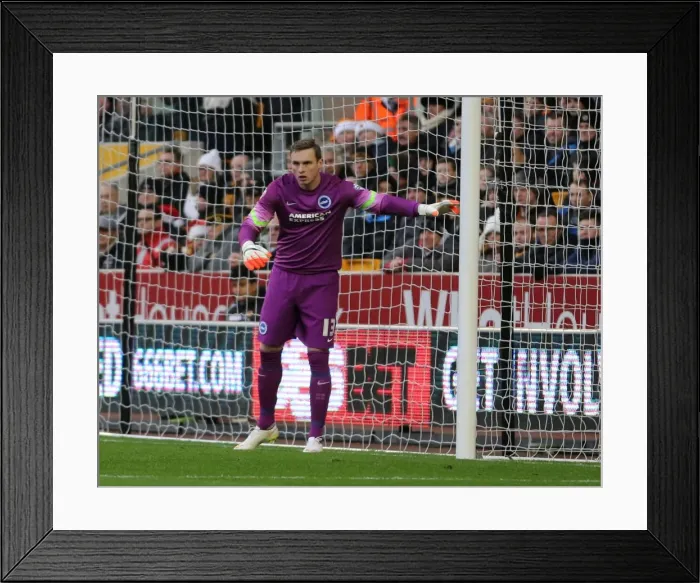 Framed Print : David Stockdale: Intense Concentration during Wolverhampton Wanderers vs. Brighton and Hove Albion, Sky Bet Championship, 2014