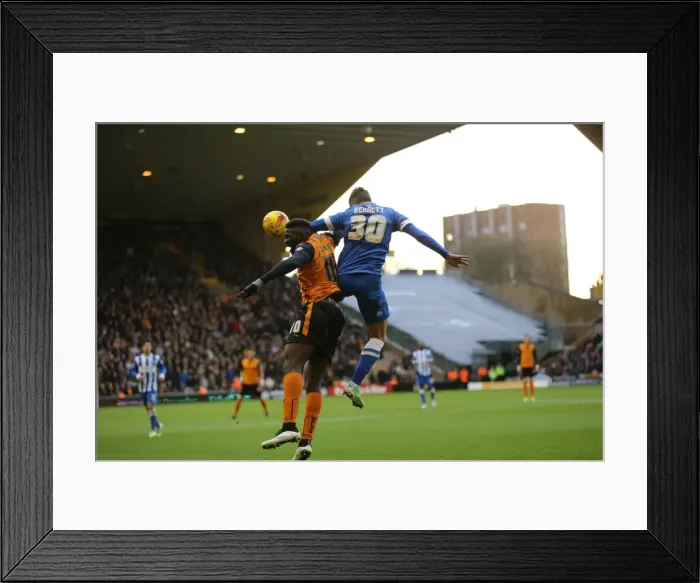 Framed Print : Joe Bennett of Brighton and Hove Albion Faces Off Against Wolverhampton Wanderers in Sky Bet Championship Clash (20DEC14)
