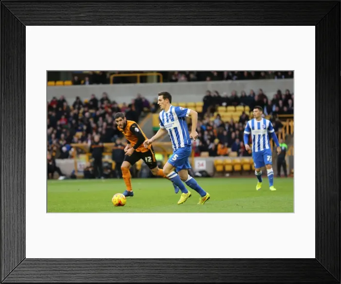 Framed Print : Lewis Dunk Focuses in Wolverhampton Wanderers vs Brighton and Hove Albion Championship Clash (20DEC14)