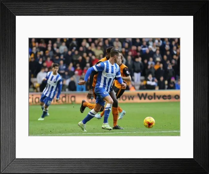 Framed Print : Joe Bennett Faces Off in Intense Championship Clash: Wolverhampton Wanderers vs Brighton and Hove Albion (20DEC14) Framed Print : Joe Bennett Faces Off in Intense Championship Clash: Wolverhampton Wanderers vs Brighton and Hove Albion (20DEC14)