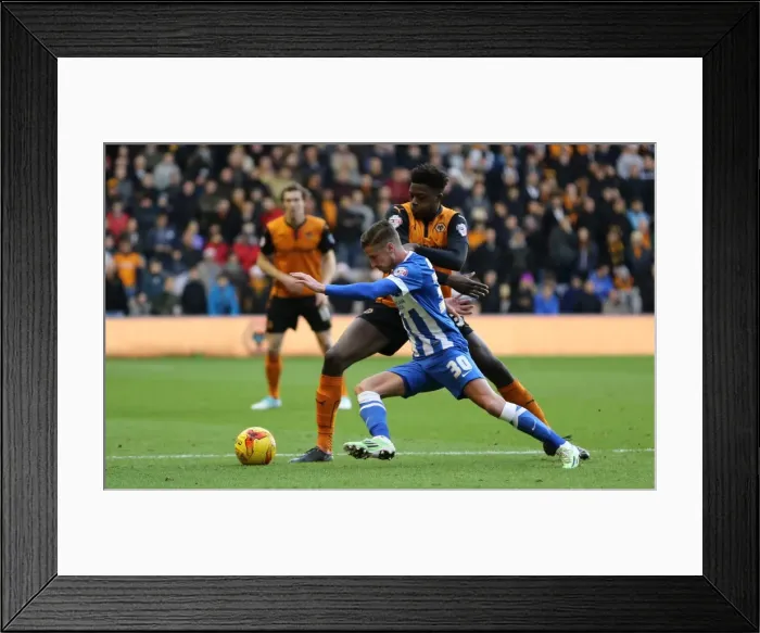 Framed Print : Joe Bennett Faces Off in Championship Clash: Brighton & Hove Albion vs. Wolverhampton Wanderers (20DEC14) Framed Print : Joe Bennett Faces Off in Championship Clash: Brighton & Hove Albion vs. Wolverhampton Wanderers (20DEC14)