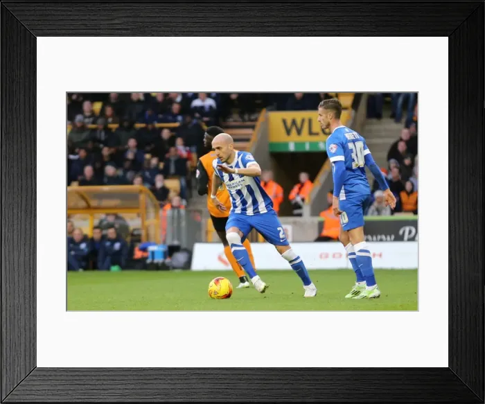 Framed Print : Bruno's Determination: Wolverhampton Wanderers vs Brighton and Hove Albion, Championship Clash (December 2014)