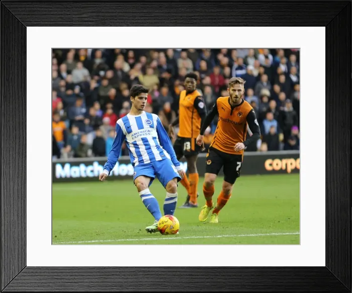 Framed Print : Joao Teixeira in Action: Wolverhampton Wanderers vs. Brighton and Hove Albion, Sky Bet Championship (20DEC14) Framed Print : Joao Teixeira in Action: Wolverhampton Wanderers vs. Brighton and Hove Albion, Sky Bet Championship (20DEC14)