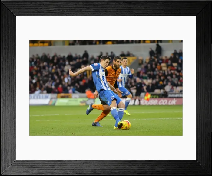 Framed Print : Lewis Dunk: In Action Against Wolverhampton Wanderers (December 2014) Framed Print : Lewis Dunk: In Action Against Wolverhampton Wanderers (December 2014)