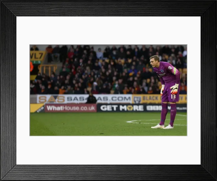 Framed Print : David Stockdale vs. Wolverhampton Wanderers: Championship Showdown (20DEC14)
