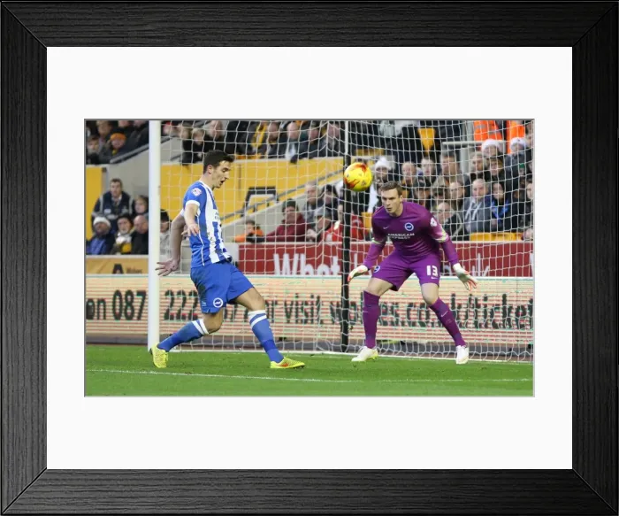 Framed Print : David Stockdale Focused: Wolverhampton Wanderers vs. Brighton and Hove Albion, Sky Bet Championship, Molineux, 2014