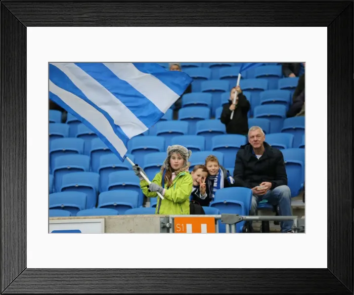 Framed Print : Passionate Albion Fan Moment: Brighton & Hove vs. Reading (26DEC14), American Express Community Stadium Framed Print : Passionate Albion Fan Moment: Brighton & Hove vs. Reading (26DEC14), American Express Community Stadium