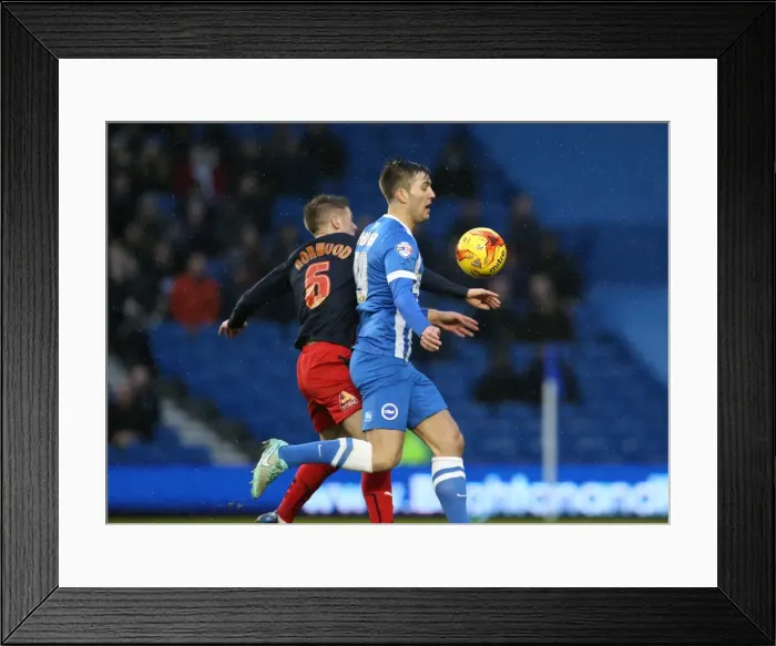 Framed Print : Gary Gardner in Action: Brighton & Hove Albion vs. Reading (Sky Bet Championship, 26DEC14)
