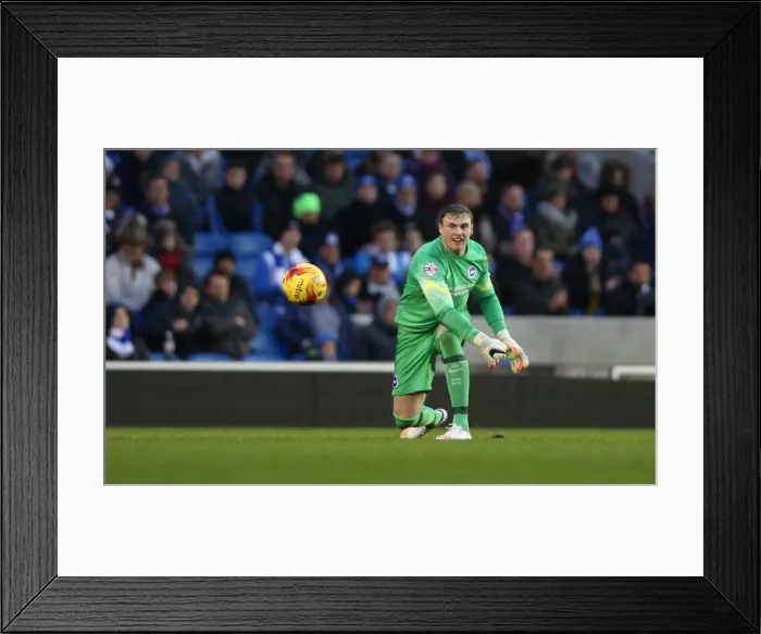 Framed Print : David Stockdale in Action: Brighton & Hove Albion vs. Reading, December 2014 Framed Print : David Stockdale in Action: Brighton & Hove Albion vs. Reading, December 2014