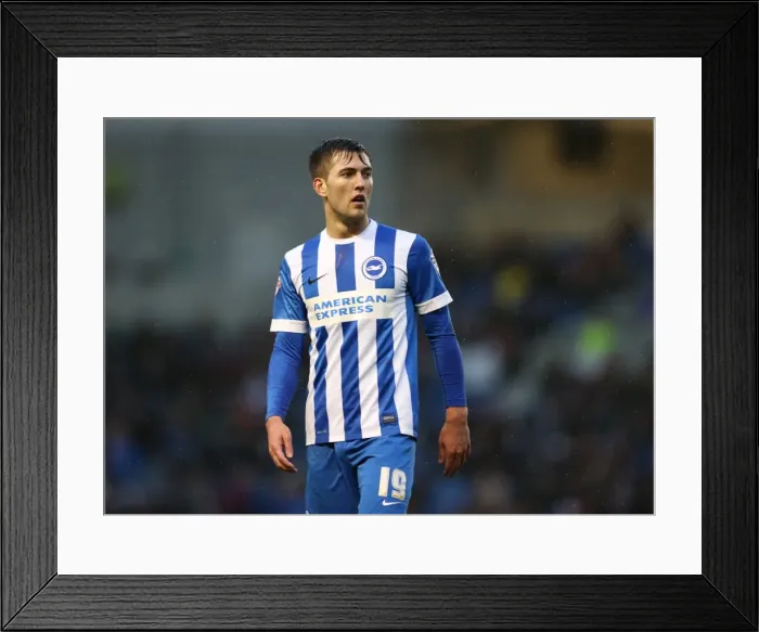 Framed Print : Gary Gardner in Action: Brighton & Hove Albion vs. Reading, Sky Bet Championship (26DEC14) Framed Print : Gary Gardner in Action: Brighton & Hove Albion vs. Reading, Sky Bet Championship (26DEC14)