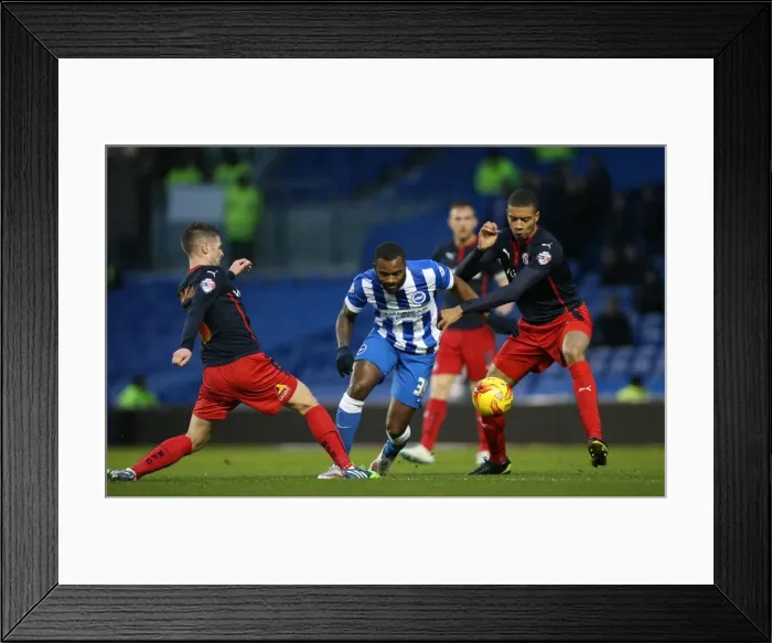 Framed Print : Darren Bent Scores the Christmas Goal: Brighton & Hove Albion vs. Reading (26DEC14) Framed Print : Darren Bent Scores the Christmas Goal: Brighton & Hove Albion vs. Reading (26DEC14)