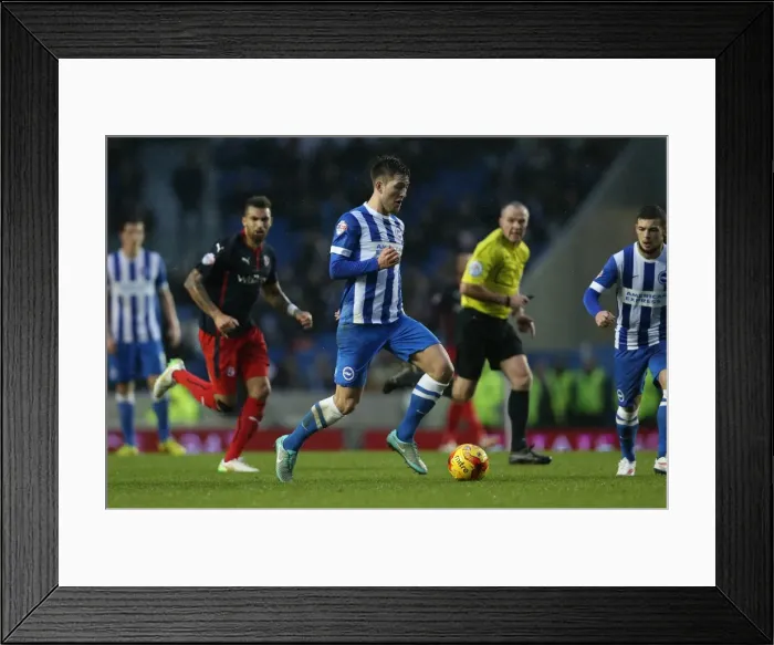 Framed Print : Gary Gardner in Action: Brighton & Hove Albion vs. Reading (Sky Bet Championship, 26DEC14)