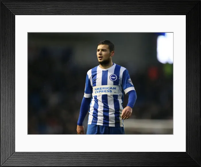 Framed Print : Brighton and Hove Albion v Reading Sky Bet Championship 15  /  03  /  2016