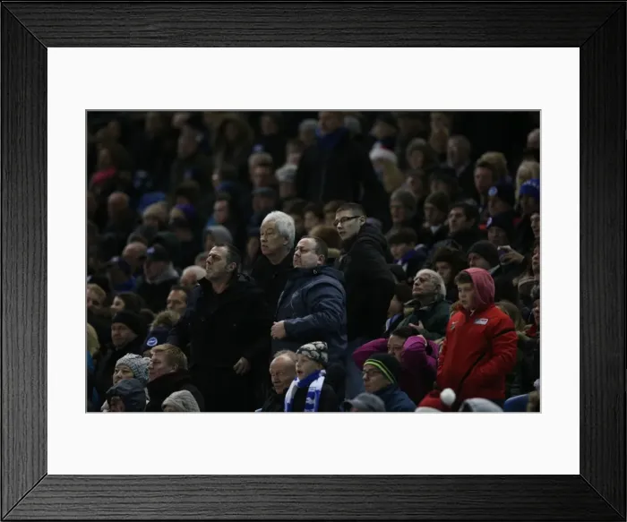 Framed Print : Intense Fan Rivalry: Brighton and Hove Albion vs. Reading (December 2014) - Sky Bet Championship Clash at the American Express Community Stadium Framed Print : Intense Fan Rivalry: Brighton and Hove Albion vs. Reading (December 2014) - Sky Bet Championship Clash at the American Express Community Stadium