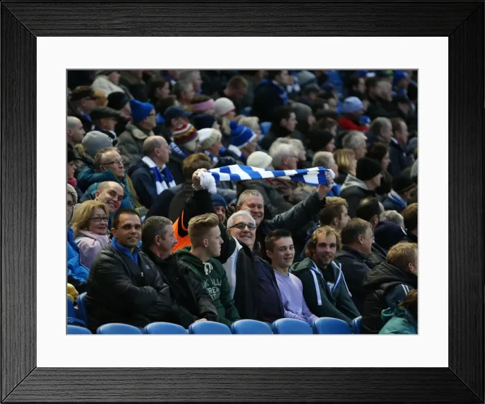 Framed Print : Passionate Albion Fans: A Moment of Pride at American Express Community Stadium (26DEC14) - Brighton and Hove vs. Reading Framed Print : Passionate Albion Fans: A Moment of Pride at American Express Community Stadium (26DEC14) - Brighton and Hove vs. Reading