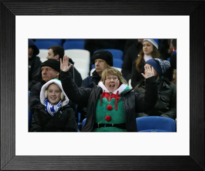 Framed Print : Passionate Moment: Brighton and Hove Albion Fans in Full Swing at American Express Community Stadium vs. Reading (26DEC14) Framed Print : Passionate Moment: Brighton and Hove Albion Fans in Full Swing at American Express Community Stadium vs. Reading (26DEC14)