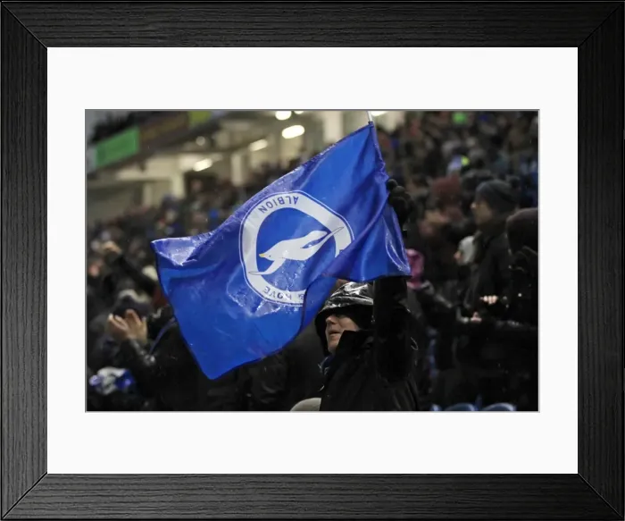 Framed Print : Brighton & Hove Albion vs. Reading: A 2014-15 Home Game (December 26) Framed Print : Brighton & Hove Albion vs. Reading: A 2014-15 Home Game (December 26)