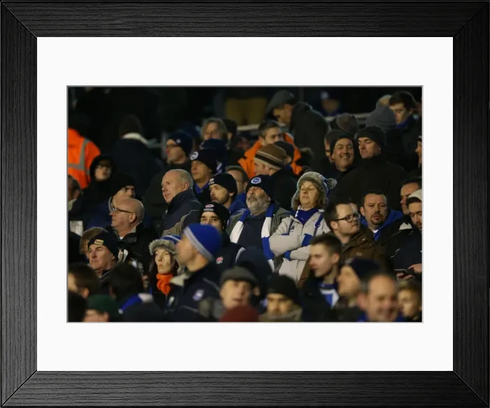 Framed Print : Fulham vs. Brighton and Hove Albion: Intense Fan Rivalry at Craven Cottage (29DEC14) Framed Print : Fulham vs. Brighton and Hove Albion: Intense Fan Rivalry at Craven Cottage (29DEC14)