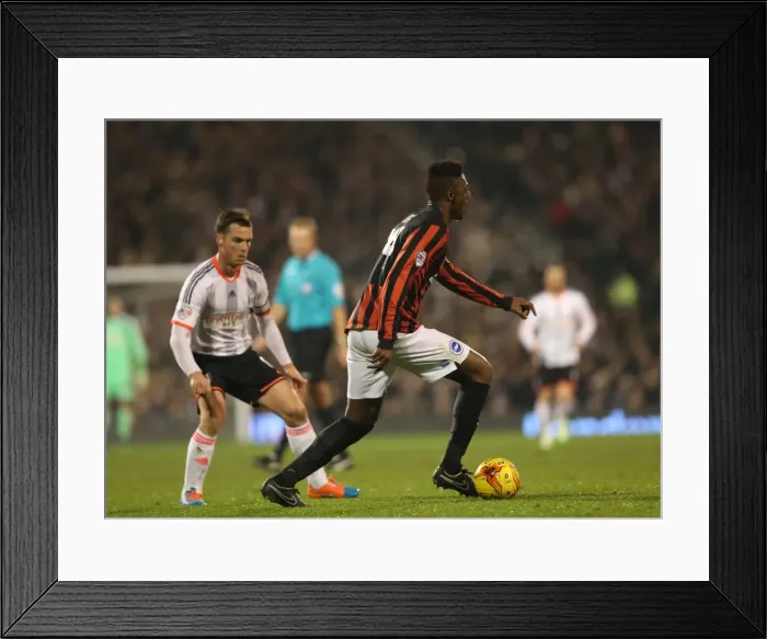 Framed Print : Rohan Ince in Action: Fulham vs. Brighton & Hove Albion, Craven Cottage (29DEC14) Framed Print : Rohan Ince in Action: Fulham vs. Brighton & Hove Albion, Craven Cottage (29DEC14)