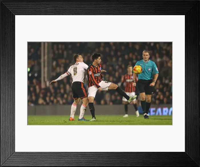 Framed Print : Joao Teixeira in Action: Fulham vs. Brighton & Hove Albion (December 2014) Framed Print : Joao Teixeira in Action: Fulham vs. Brighton & Hove Albion (December 2014)