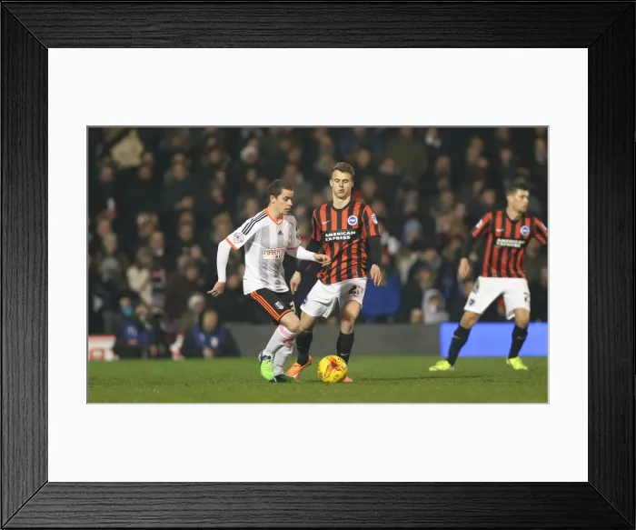 Framed Print : Solly March in Action: Fulham vs. Brighton & Hove Albion, Craven Cottage (29DEC14) Framed Print : Solly March in Action: Fulham vs. Brighton & Hove Albion, Craven Cottage (29DEC14)