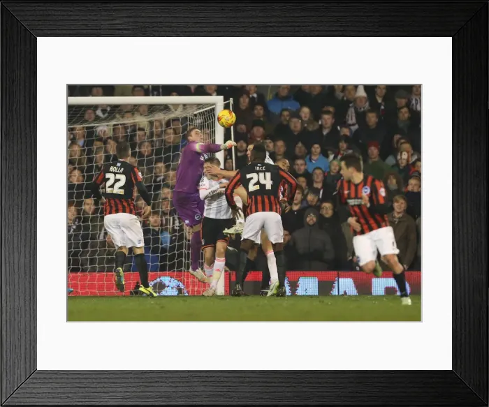 Framed Print : Focused David Stockdale: Fulham vs. Brighton and Hove Albion, Craven Cottage (December 2014) Framed Print : Focused David Stockdale: Fulham vs. Brighton and Hove Albion, Craven Cottage (December 2014)