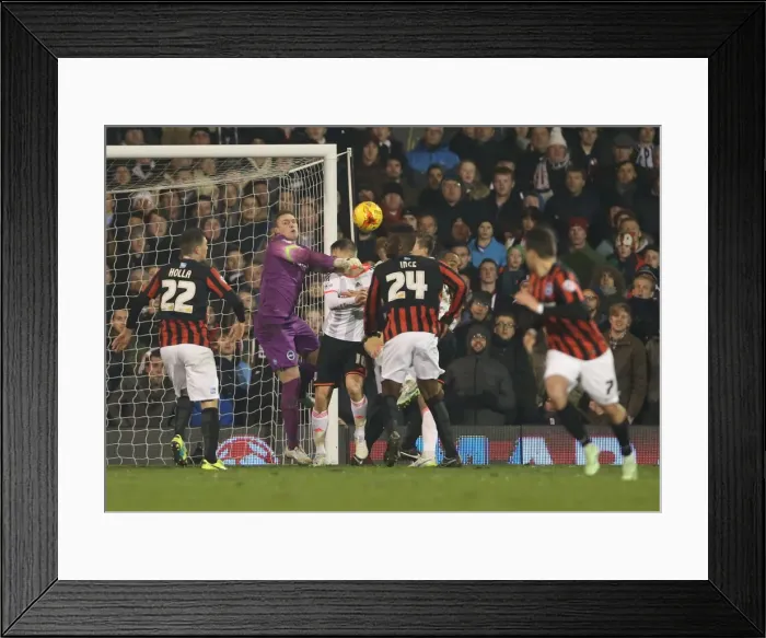 Framed Print : David Stockdale: In Action at Craven Cottage - Fulham vs. Brighton and Hove Albion, December 2014 Framed Print : David Stockdale: In Action at Craven Cottage - Fulham vs. Brighton and Hove Albion, December 2014