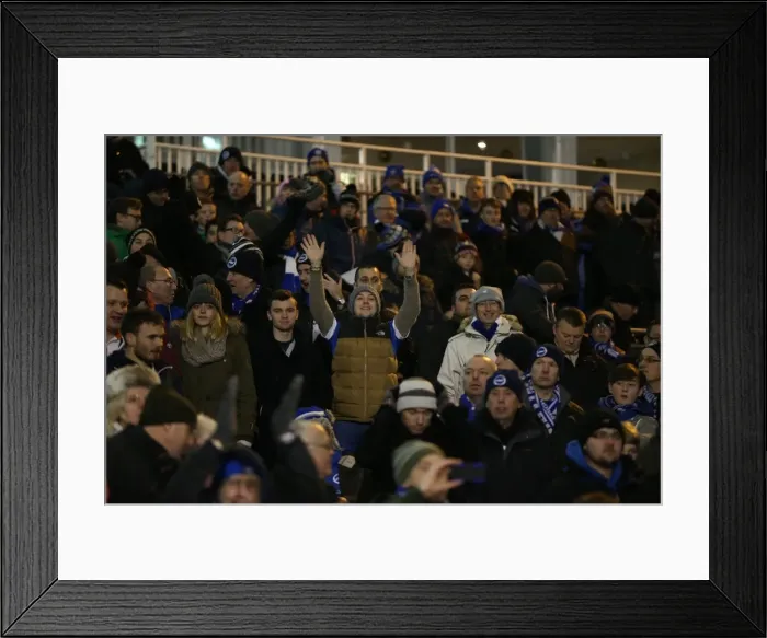 Framed Print : Brighton & Hove Albion Fans in Full Throat at Fulham's Craven Cottage (29DEC14)