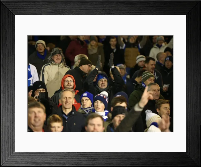 Framed Print : Brighton and Hove Albion Fans in Full Force at Craven Cottage (29DEC14): A Sea of Seagulls at Fulham's Ground
