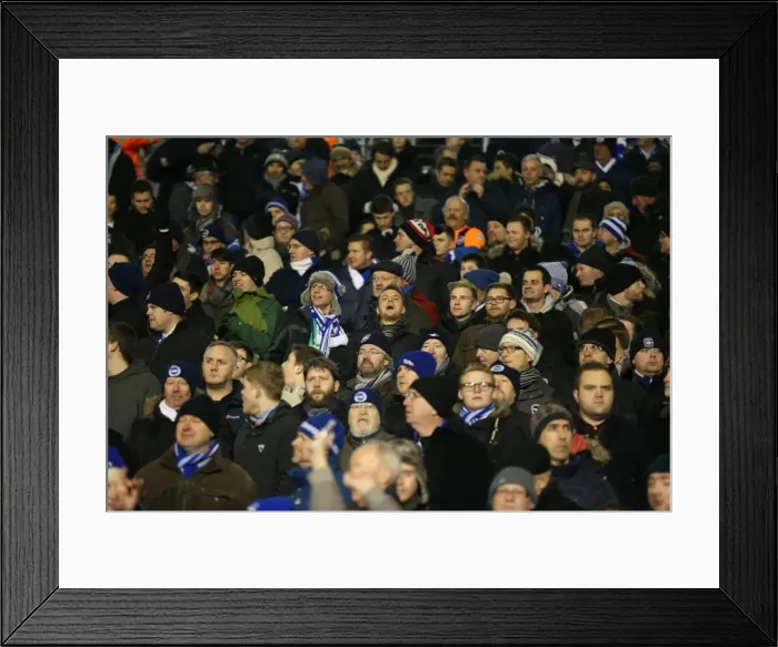 Framed Print : Brighton and Hove Albion Fans in Full Throat at Fulham's Craven Cottage (29DEC14)