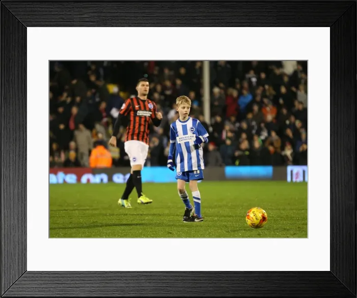 Framed Print : Brighton & Hove Albion Mascot at Fulham's Craven Cottage during Sky Bet Championship Match (29DEC14) Framed Print : Brighton & Hove Albion Mascot at Fulham's Craven Cottage during Sky Bet Championship Match (29DEC14)