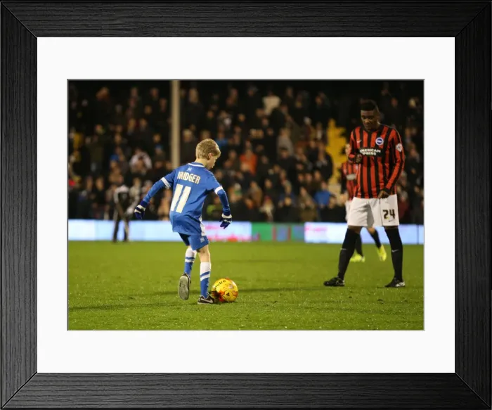 Framed Print : Brighton & Hove Albion Mascot at Fulham's Craven Cottage during Sky Bet Championship Match (29DEC14) Framed Print : Brighton & Hove Albion Mascot at Fulham's Craven Cottage during Sky Bet Championship Match (29DEC14)