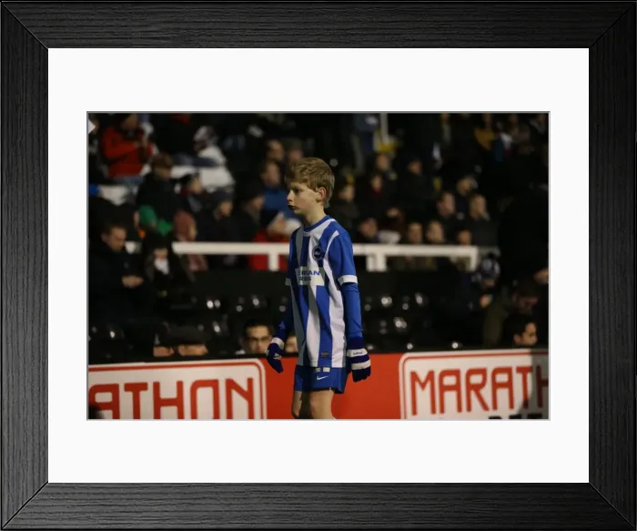 Framed Print : Brighton and Hove Albion Mascot at Fulham's Craven Cottage during Sky Bet Championship Match (29DEC14) Framed Print : Brighton and Hove Albion Mascot at Fulham's Craven Cottage during Sky Bet Championship Match (29DEC14)