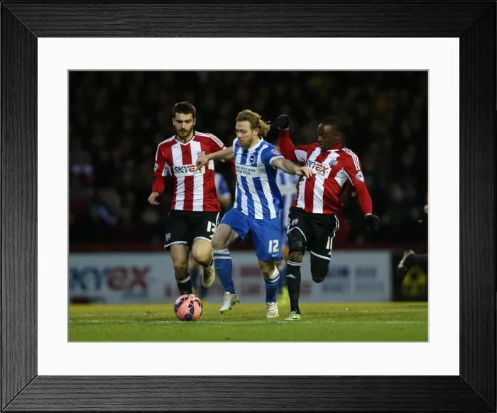 Framed Print : Brighton's Craig Mackail-Smith Goes Head-to-Head with Brentford in FA Cup Showdown, January 2015