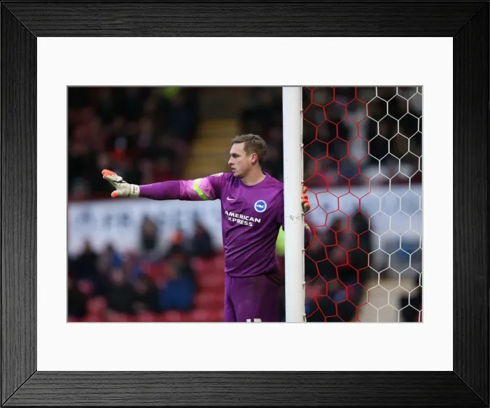 Framed Print : David Stockdale Focused: Brighton and Hove Albion vs. Brentford, FA Cup 3rd Round, Griffin Park, 2015 Framed Print : David Stockdale Focused: Brighton and Hove Albion vs. Brentford, FA Cup 3rd Round, Griffin Park, 2015