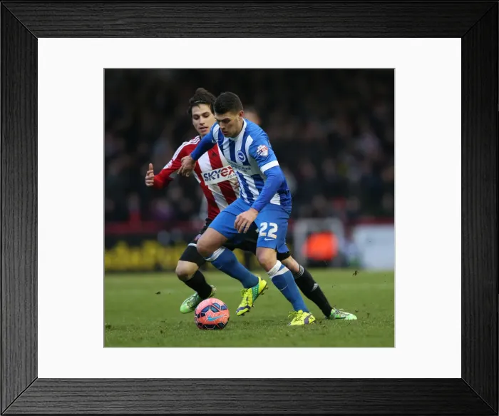 Framed Print : Brentford vs Brighton & Hove Albion: Danny Holla in FA Cup Action (03JAN15) Framed Print : Brentford vs Brighton & Hove Albion: Danny Holla in FA Cup Action (03JAN15)