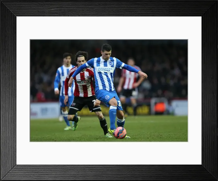 Framed Print : FA Cup 2015: Danny Holla of Brighton and Hove Albion Faces Off Against Brentford Framed Print : FA Cup 2015: Danny Holla of Brighton and Hove Albion Faces Off Against Brentford