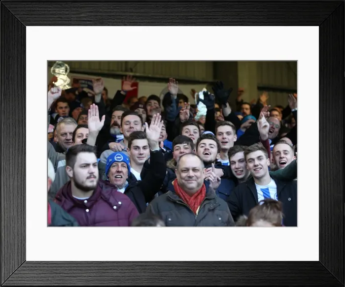 Framed Print : Brighton and Hove Albion FA Cup Fans at Brentford (03JAN15) Framed Print : Brighton and Hove Albion FA Cup Fans at Brentford (03JAN15)