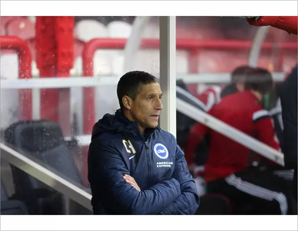 Chris Hughton Leads Brighton and Hove Albion in FA Cup Clash against Brentford (03JAN15)