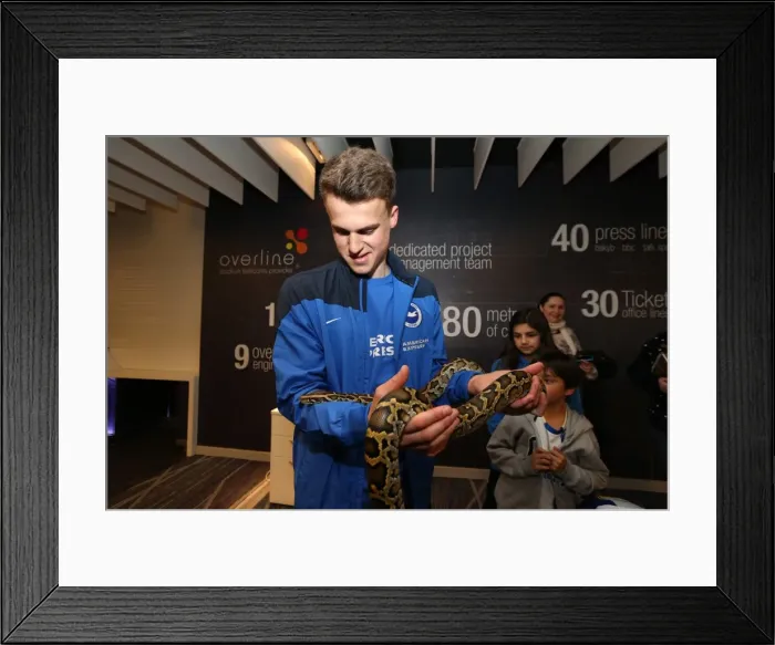 Framed Print : Young Seagulls Christmas Party 2014 at American Express Community Stadium Framed Print : Young Seagulls Christmas Party 2014 at American Express Community Stadium