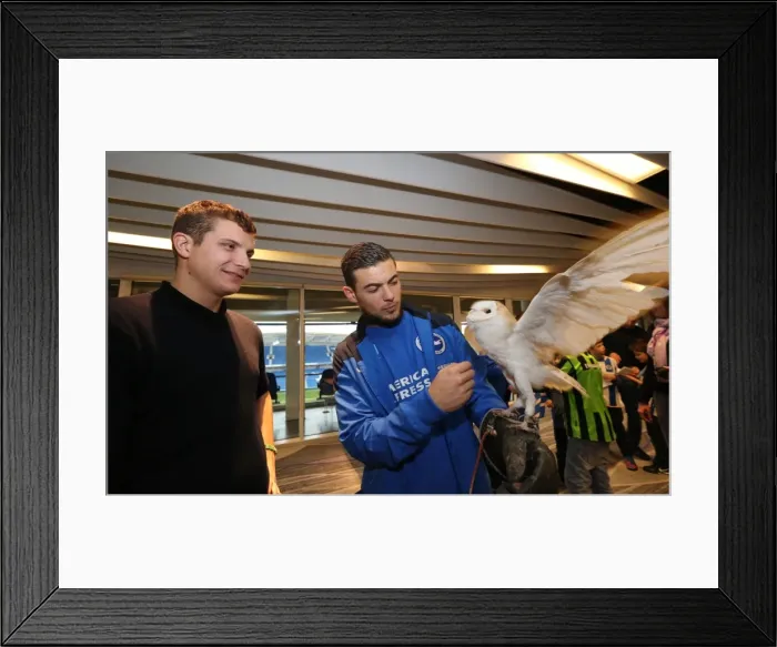 Framed Print : Young Seagulls Christmas Party 2014 at American Express Community Stadium Framed Print : Young Seagulls Christmas Party 2014 at American Express Community Stadium