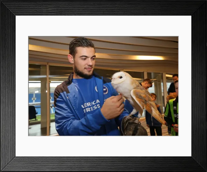 Framed Print : Young Seagulls Christmas Party 2014 at American Express Community Stadium Framed Print : Young Seagulls Christmas Party 2014 at American Express Community Stadium