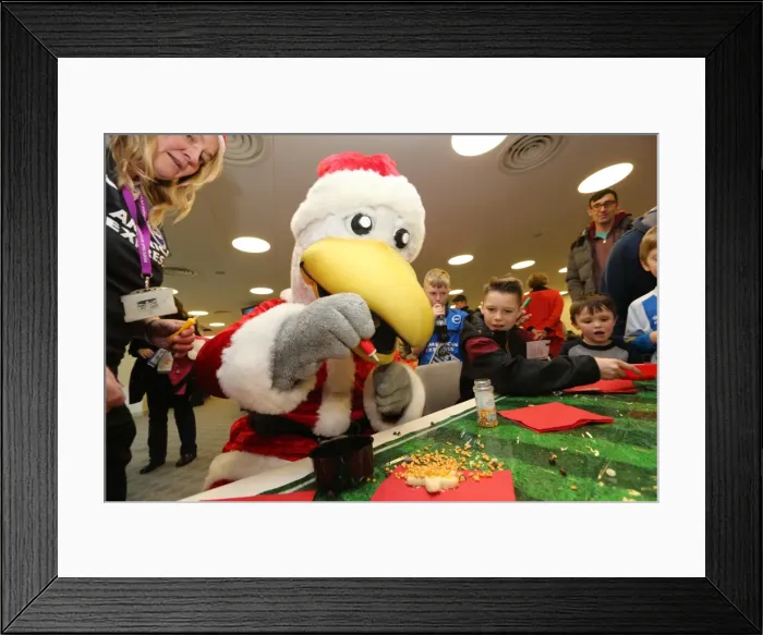 Framed Print : Young Seagulls Christmas Party 2014 at American Express Community Stadium Framed Print : Young Seagulls Christmas Party 2014 at American Express Community Stadium