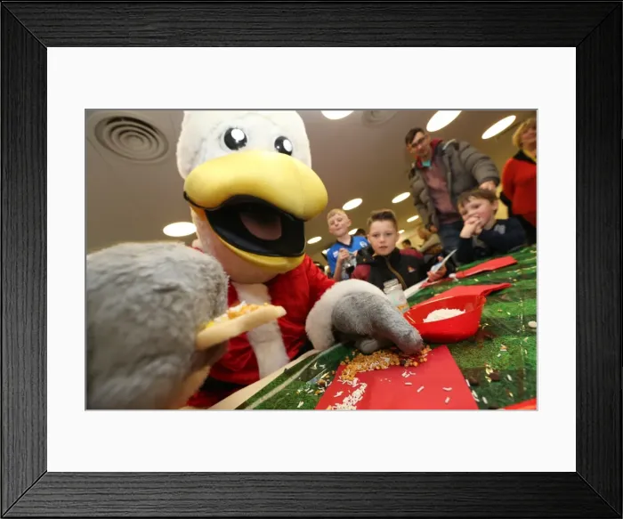 Framed Print : Young Seagulls Christmas Party 2014 at American Express Community Stadium, Brighton & Hove Albion Framed Print : Young Seagulls Christmas Party 2014 at American Express Community Stadium, Brighton & Hove Albion
