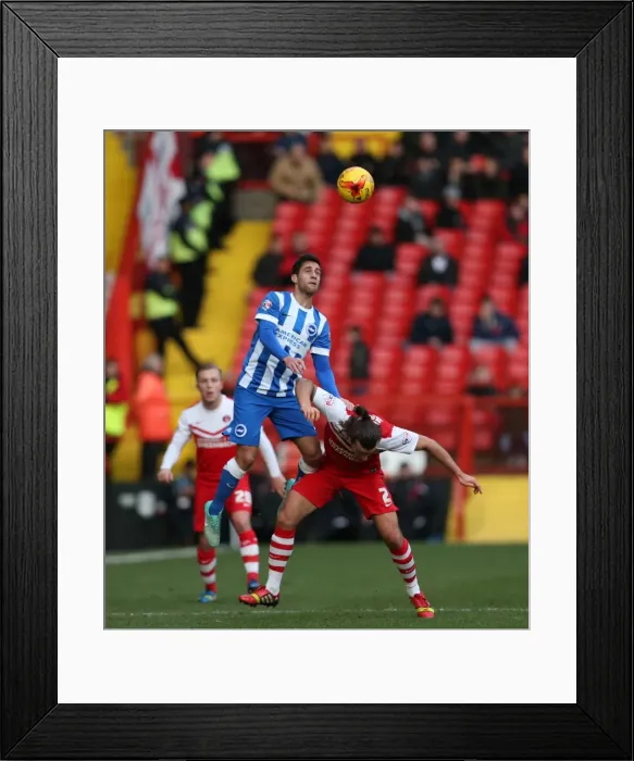 Framed Print : Sam Baldock Scores the Game-Winning Goal for Brighton and Hove Albion against Charlton Athletic, The Valley, January 10, 2015